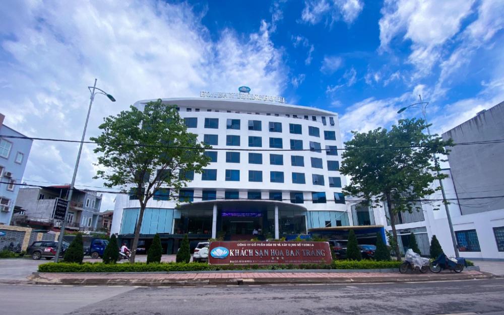 hoa ban trang hotel