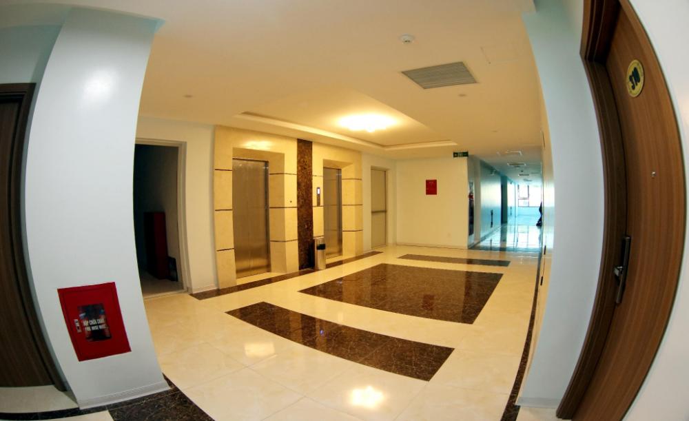 hoa ban trang hotel