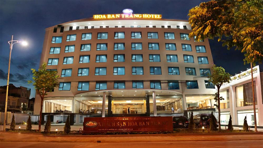hoa ban trang hotel