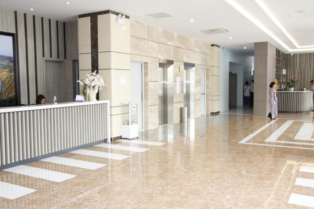 hoa ban trang hotel