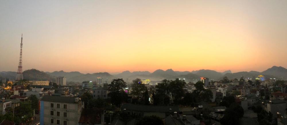 hoa ban trang hotel