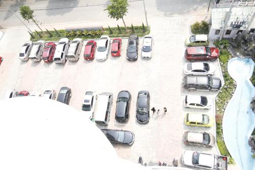 hoa ban trang hotel