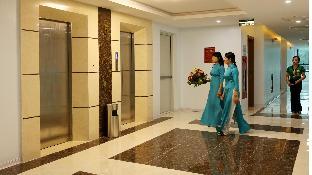 hoa ban trang hotel