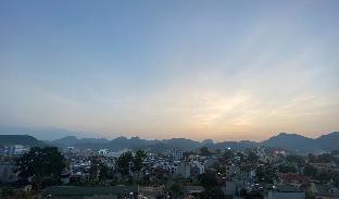 hoa ban trang hotel
