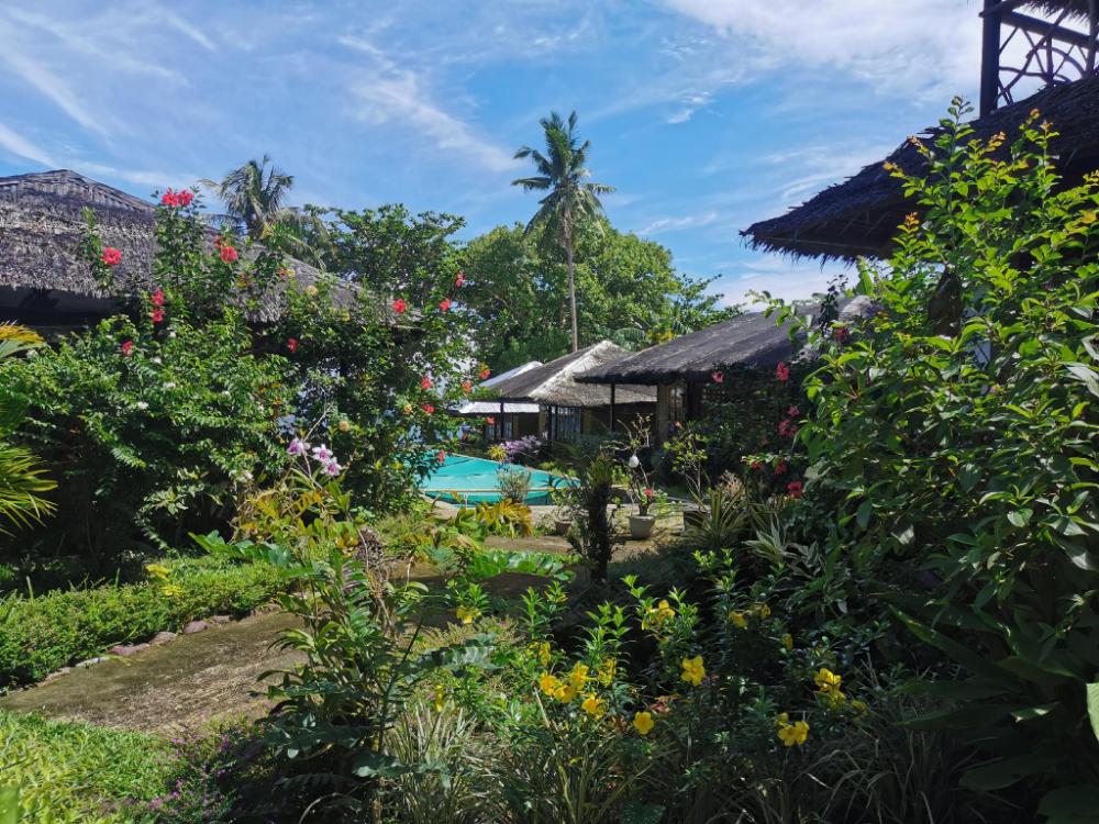 kokomo dive resort accommodation hotel