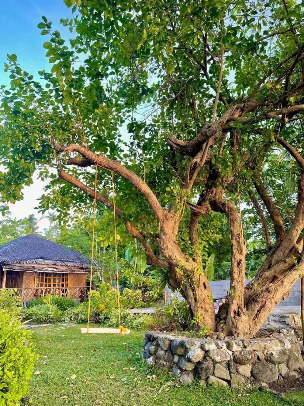 kokomo dive resort accommodation hotel