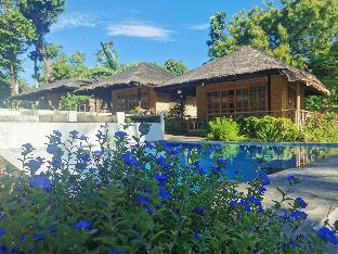 kokomo dive resort accommodation hotel