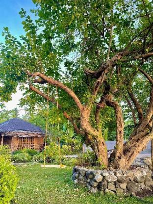 kokomo dive resort accommodation hotel