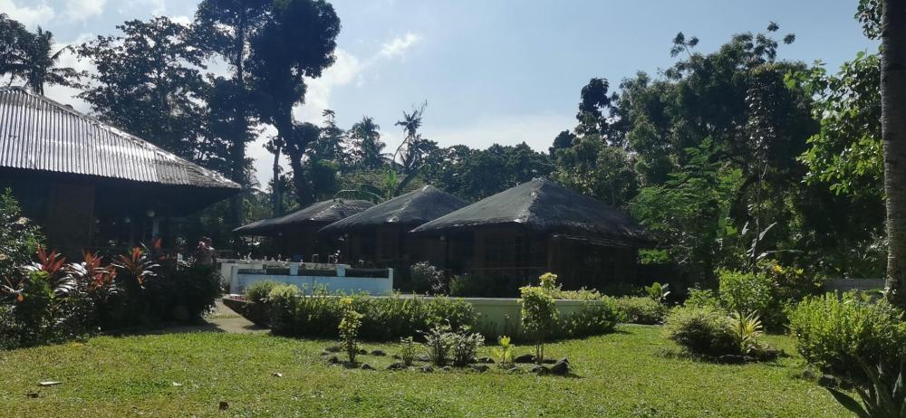 kokomo dive resort accommodation hotel