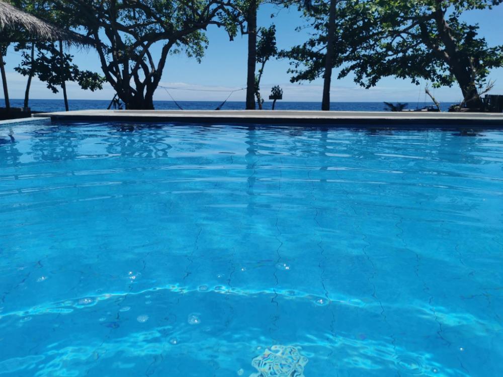 kokomo dive resort accommodation hotel