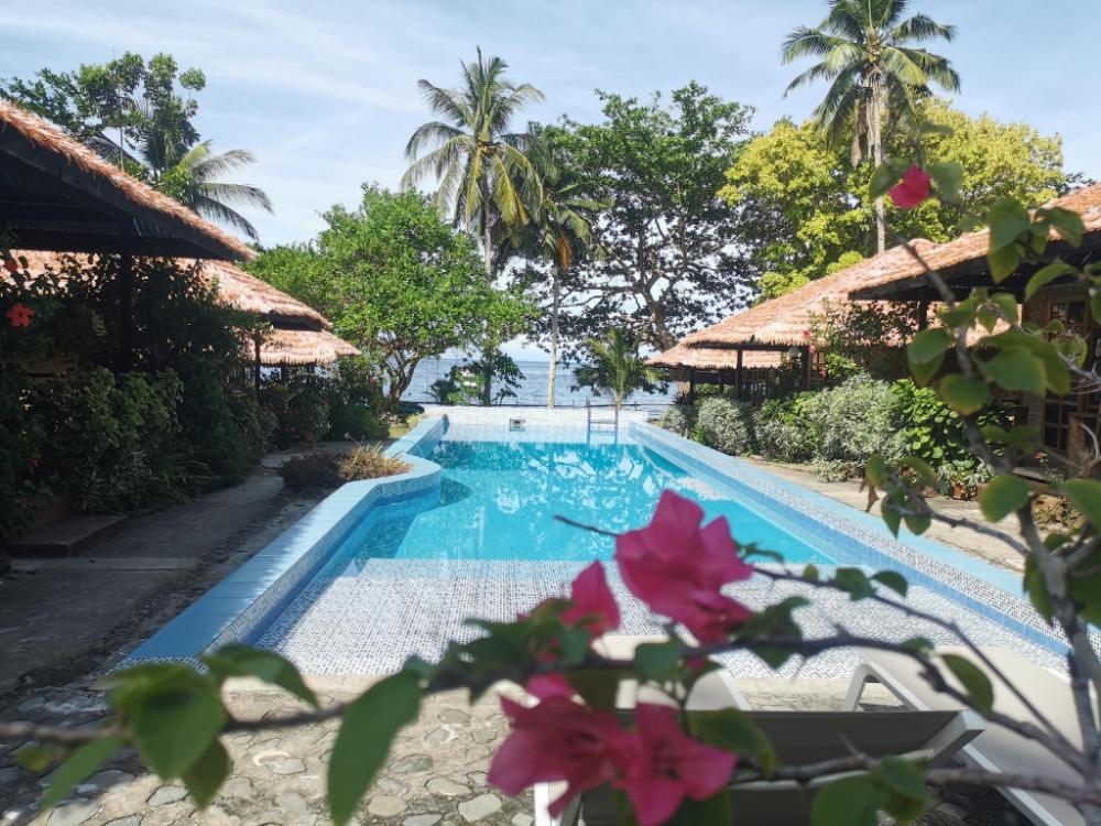 kokomo dive resort accommodation hotel