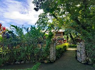 kokomo dive resort accommodation hotel