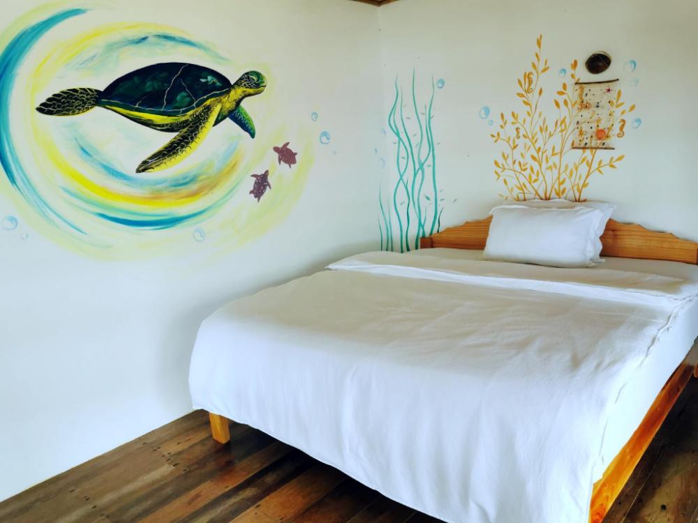 kokomo dive resort accommodation hotel