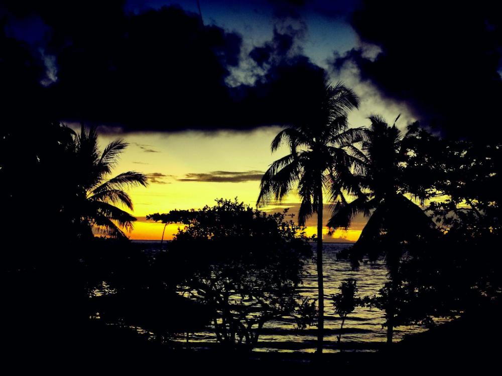 kokomo dive resort accommodation hotel