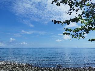 kokomo dive resort accommodation hotel