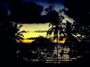 kokomo dive resort accommodation hotel