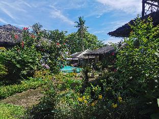 kokomo dive resort accommodation hotel