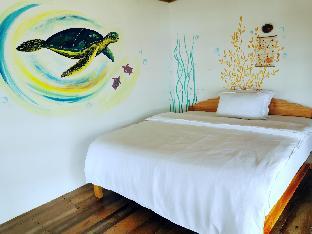 kokomo dive resort accommodation hotel