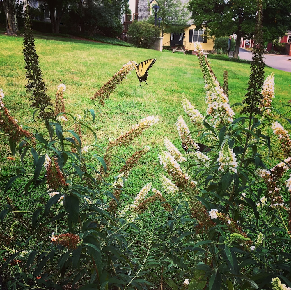 century suites hotel