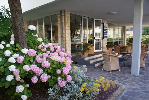 hotel bandb avana