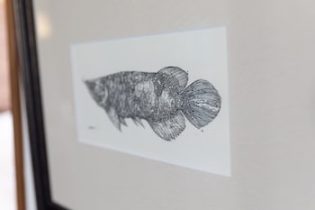 sunday peace room nakashima