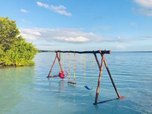 bacalar