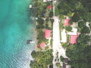 bacalar