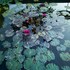 ninh binh valle montana homestay