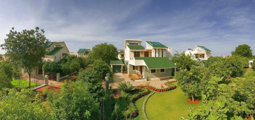 pragati green meadows and resort