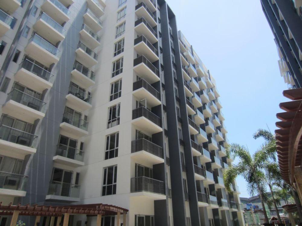 palm tree genlex condo