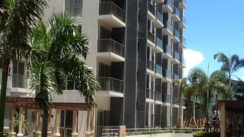 palm tree genlex condo