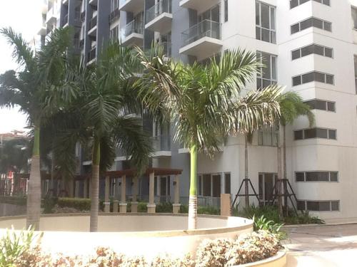 palm tree genlex condo