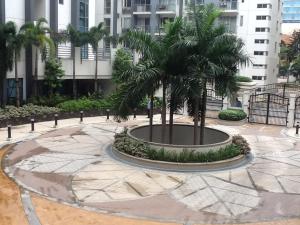 palm tree genlex condo
