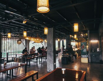 hang loose hostel