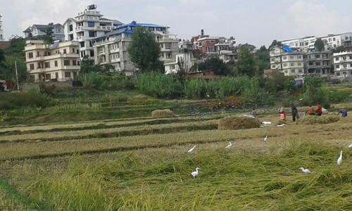 patan