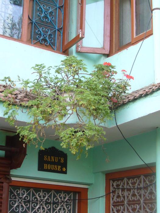 patan