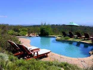 fynbos ridge