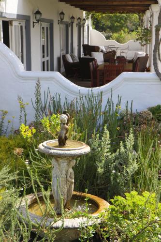 fynbos ridge