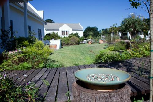 fynbos ridge