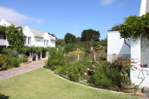 fynbos ridge