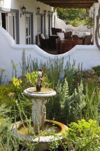 fynbos ridge