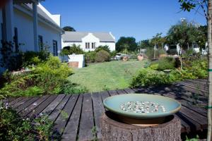 fynbos ridge