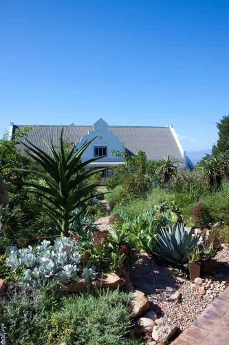 fynbos ridge