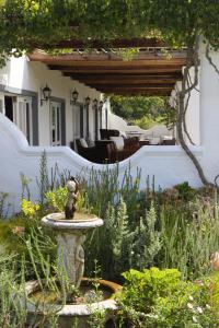 fynbos ridge