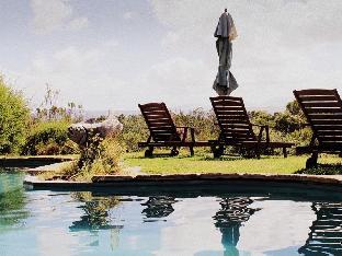 fynbos ridge