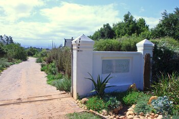 fynbos ridge