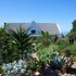 fynbos ridge