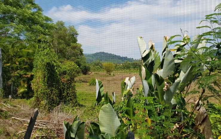 takua thung