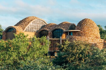 Mopane Bush Lodge,Linton>>Limpopo,4 star