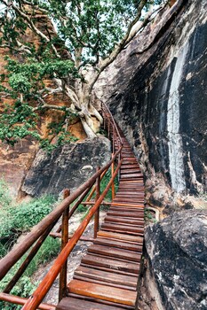 Mopane Bush Lodge,Linton>>Limpopo,4 star